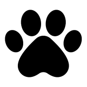 logo blog chien