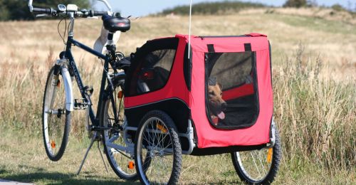 Blog Chien : Choisir une remorque à vélo pour son chien