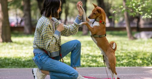 5 idées pour jouer avec son chien