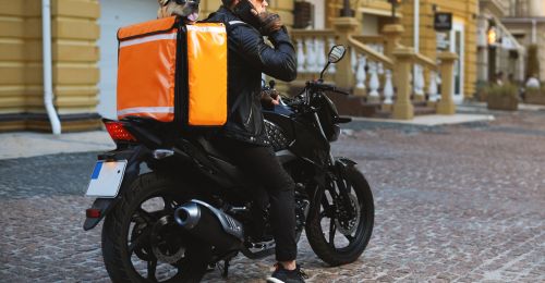 Blog Chien : Quel sac de moto choisir pour transporter son chien ?